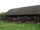 Tnvg201428