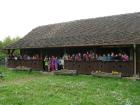 Tnvg201429