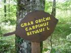 Tnvg201446