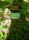 Tnvg201452