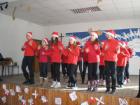 Bozic201423