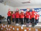 Bozic201424